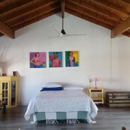 La Casa De Los Murales Авейанеда Екстериор снимка