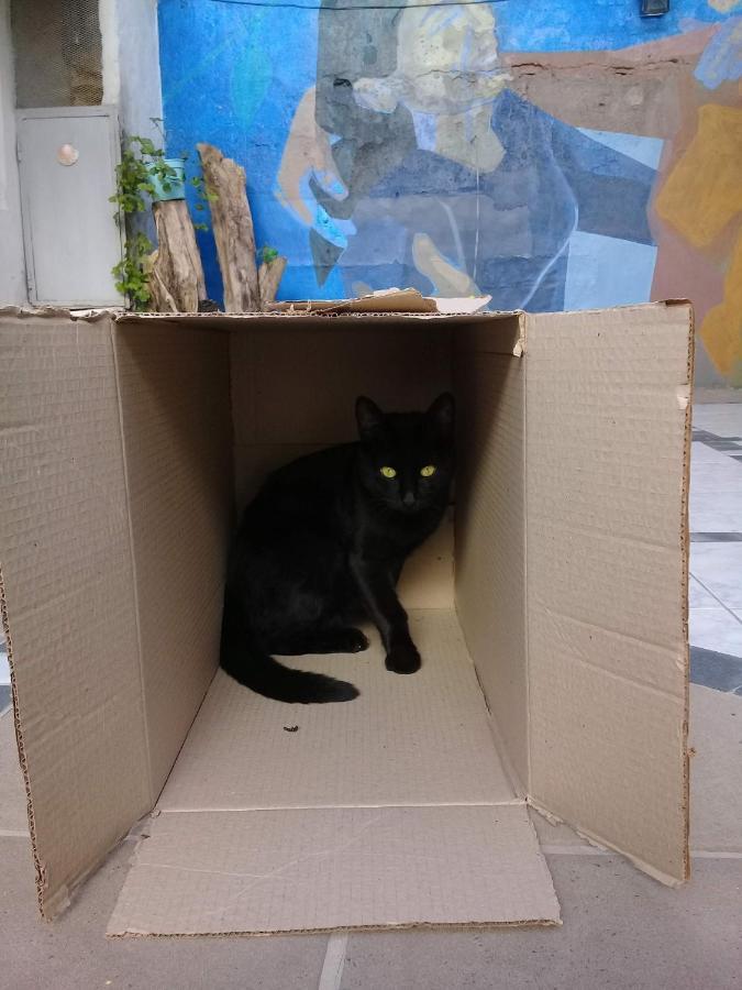 La Casa De Los Murales Авейанеда Екстериор снимка